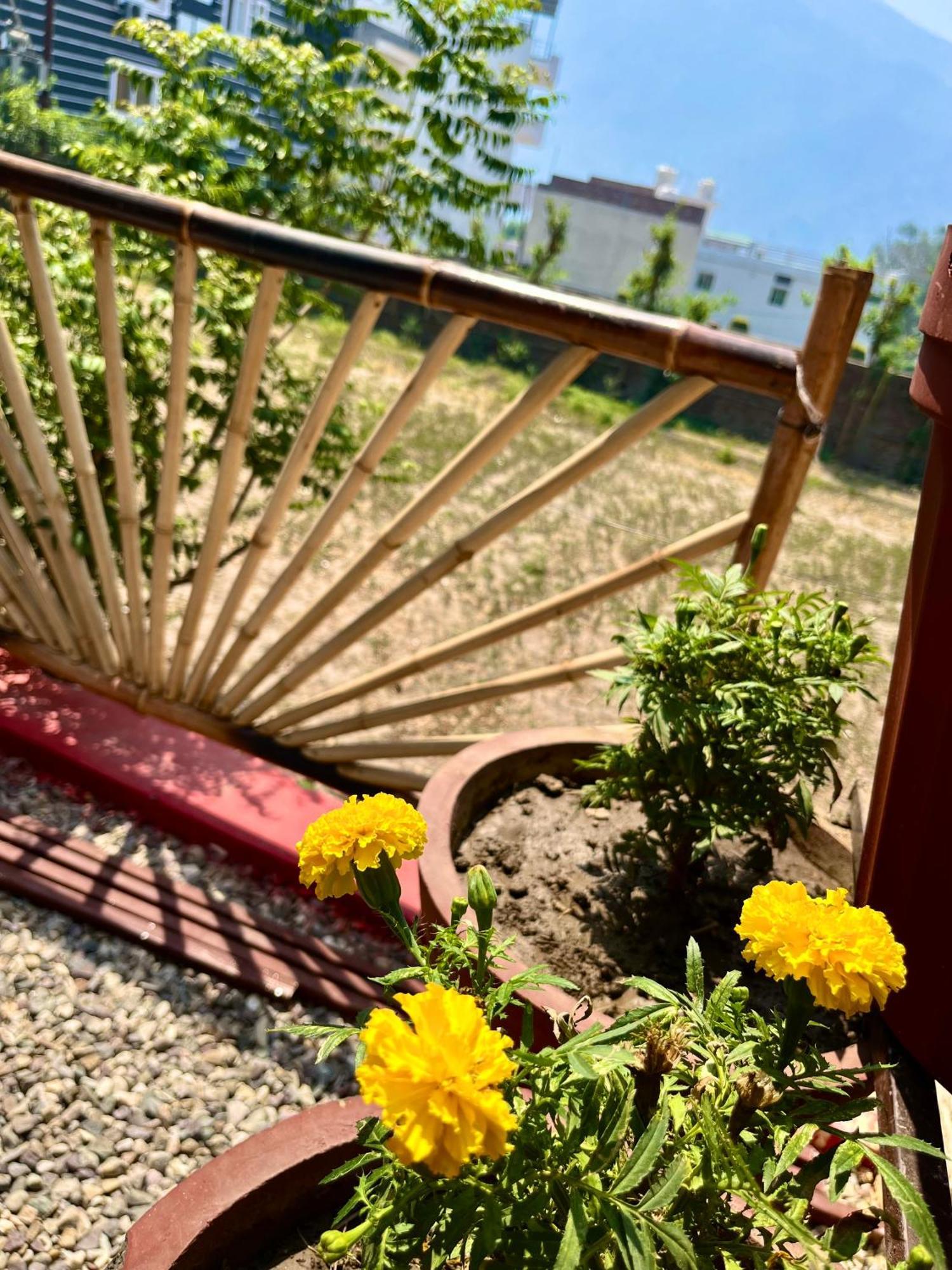 Bamboo Garden Cottages And Cafe Рішикеш Екстер'єр фото